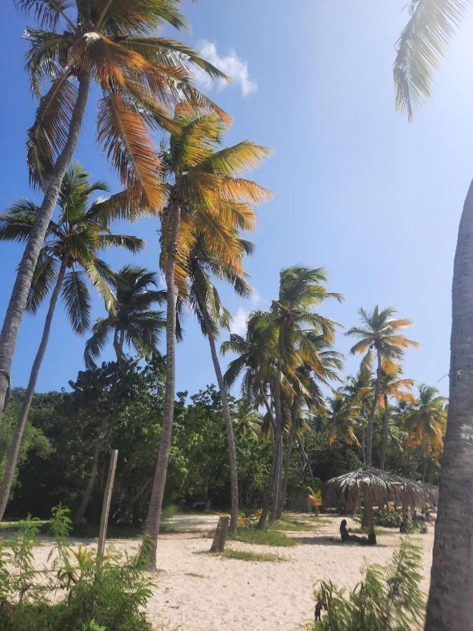 Virgin Islands Campground Water Island Kültér fotó